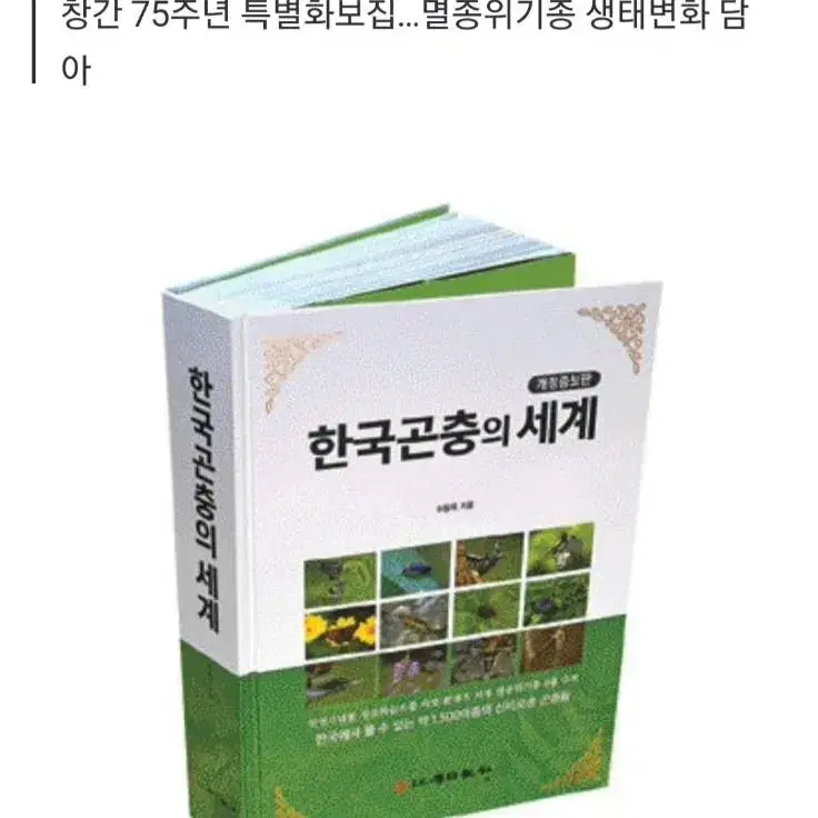 한국 곤충의 세계 새상품 고화질 사진 화보 학습 자료 소장 선물