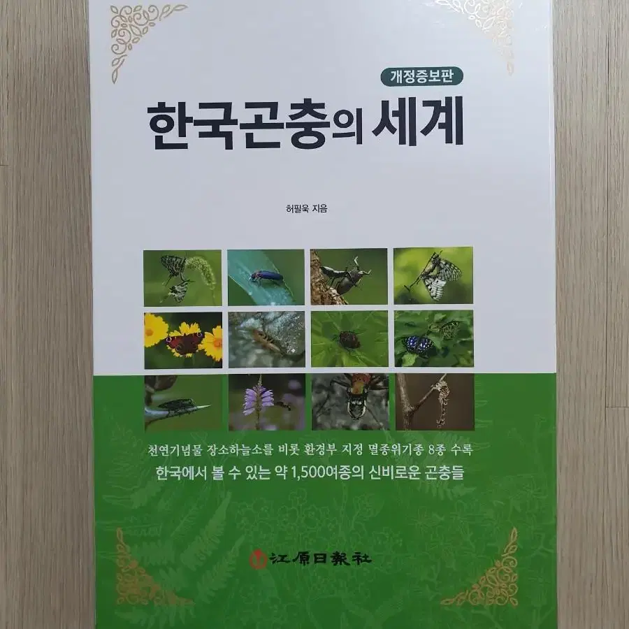 한국 곤충의 세계 새상품 고화질 사진 화보 학습 자료 소장 선물