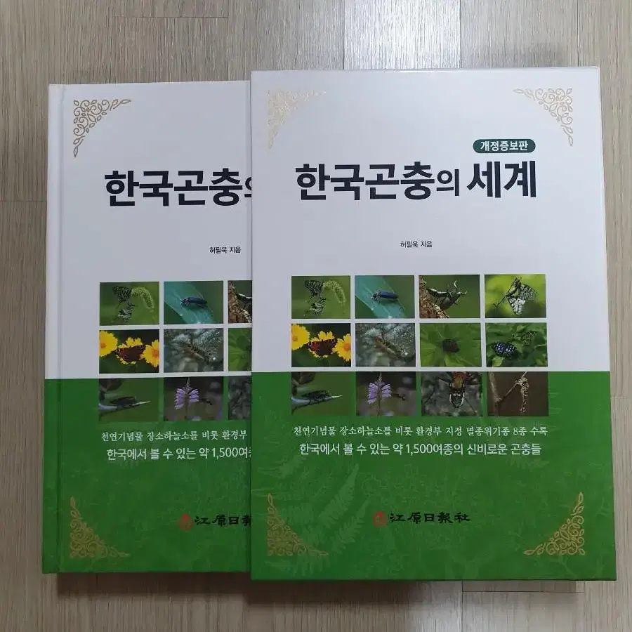 한국 곤충의 세계 새상품 고화질 사진 화보 학습 자료 소장 선물