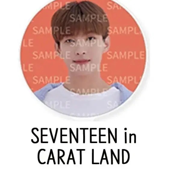 세븐틴 2021 캐럿랜드 도겸 우치와 양도