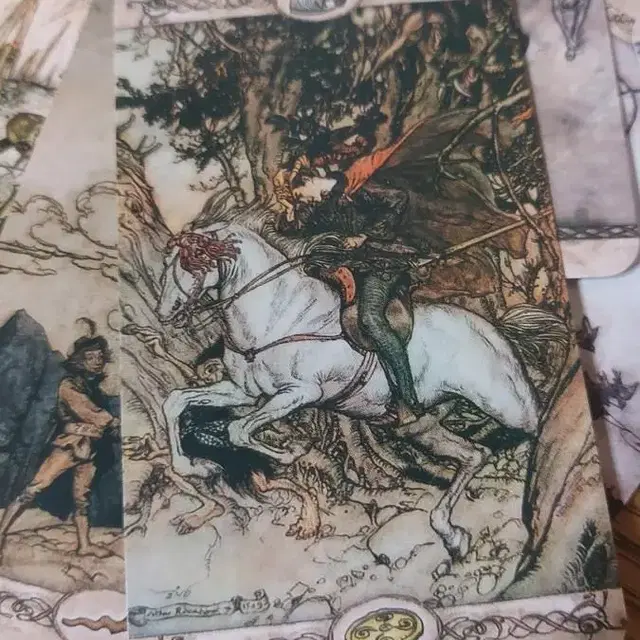 rackham tarot 타로카드 아담사이즈