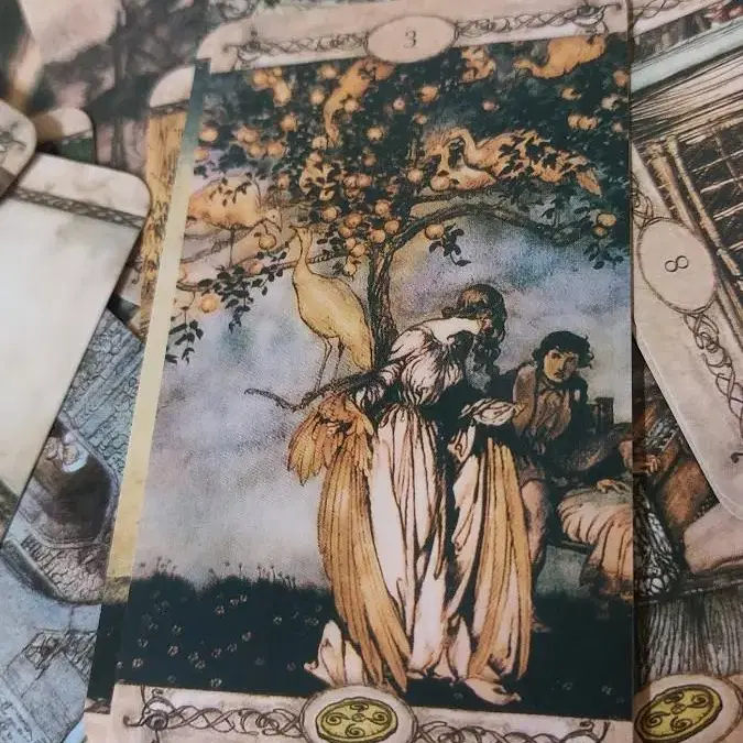 rackham tarot 타로카드 아담사이즈