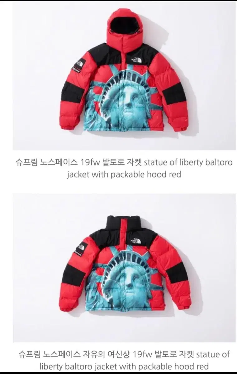 Supreme The North Face Baltor Padding<마지막가격>