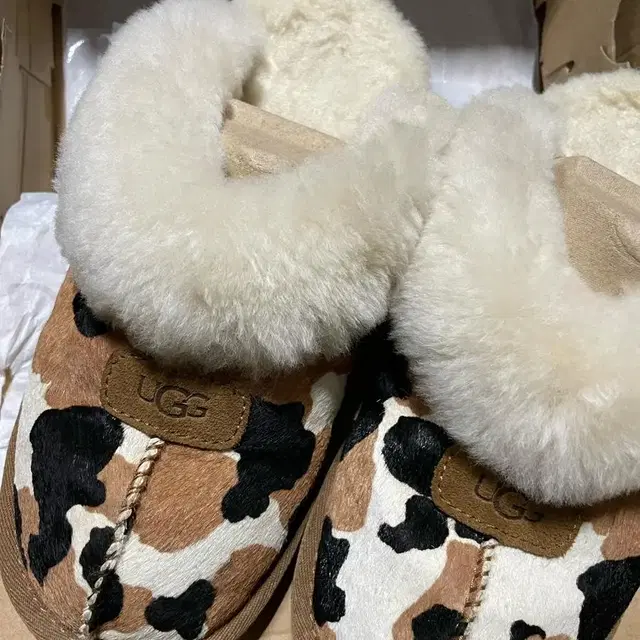 정품)어그 UGG 코케트 카우 프린트