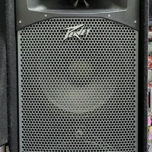 Speaker/Amplifier 피베이,PEAVEY,SP6,스피커,대형스피커 on Bunjang Global Site.