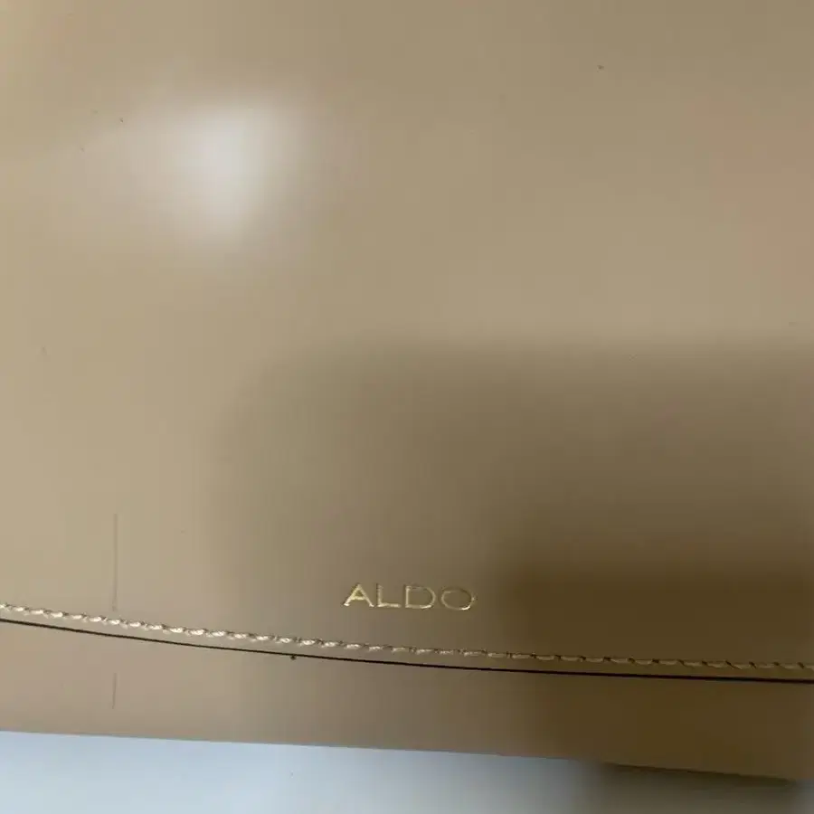 ALDO 가방 알도