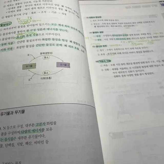 생명과학 백호T 본책+문제편+필기노트+숙제교재(새상품)