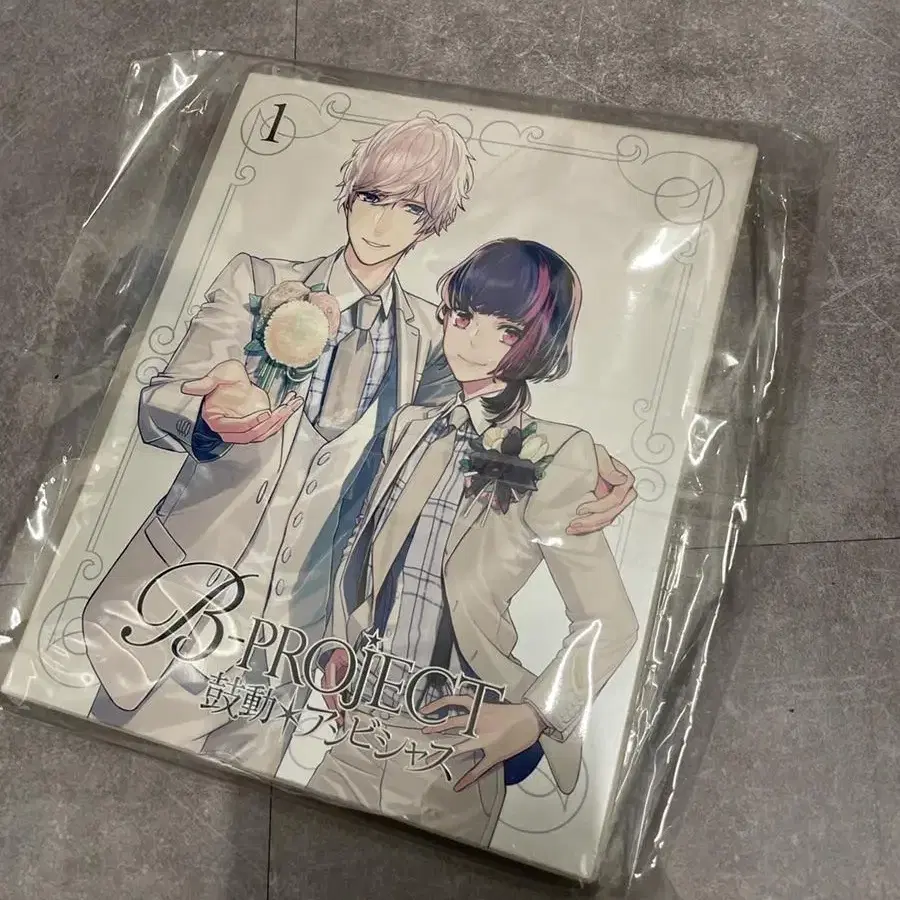 # (B-project) DVD 일본판