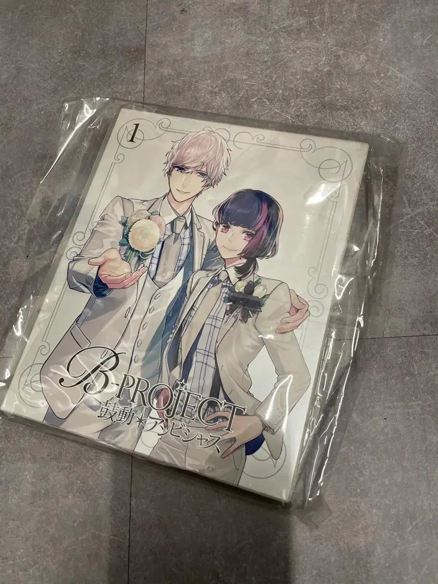 # (B-project) DVD 일본판