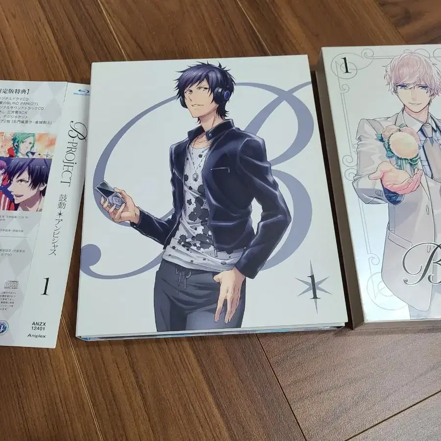 # (B-project) DVD 일본판