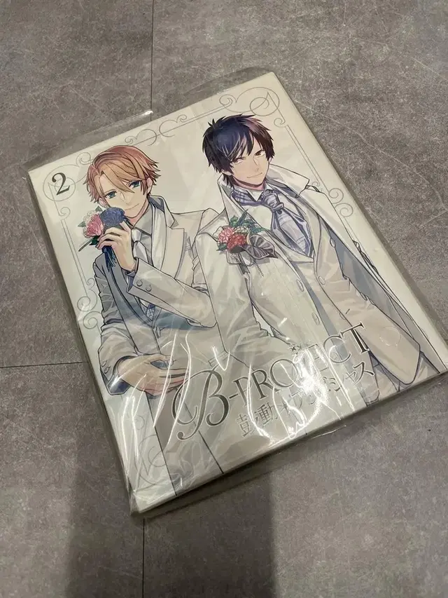 DVD / B-project (일본)