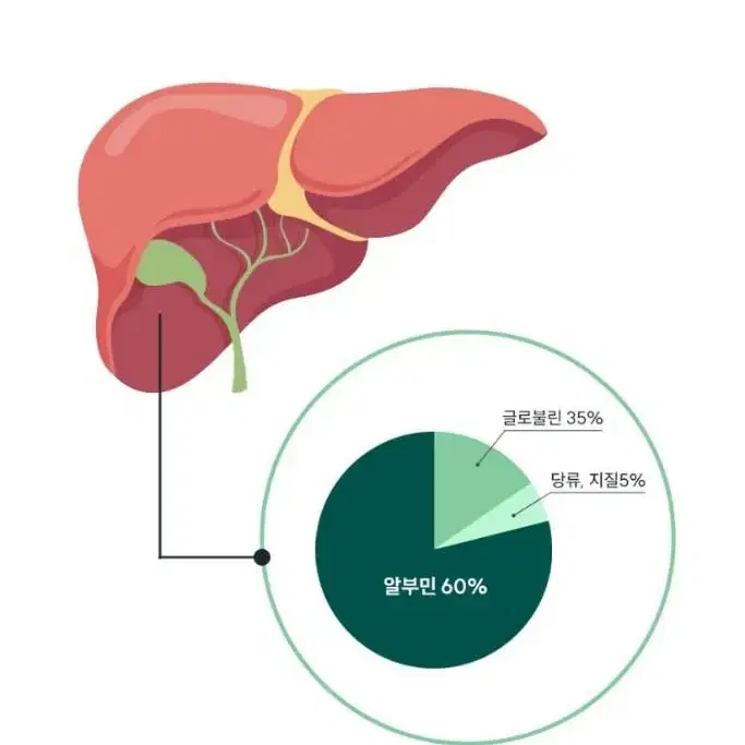 20mlx30병 알부민 선물추천