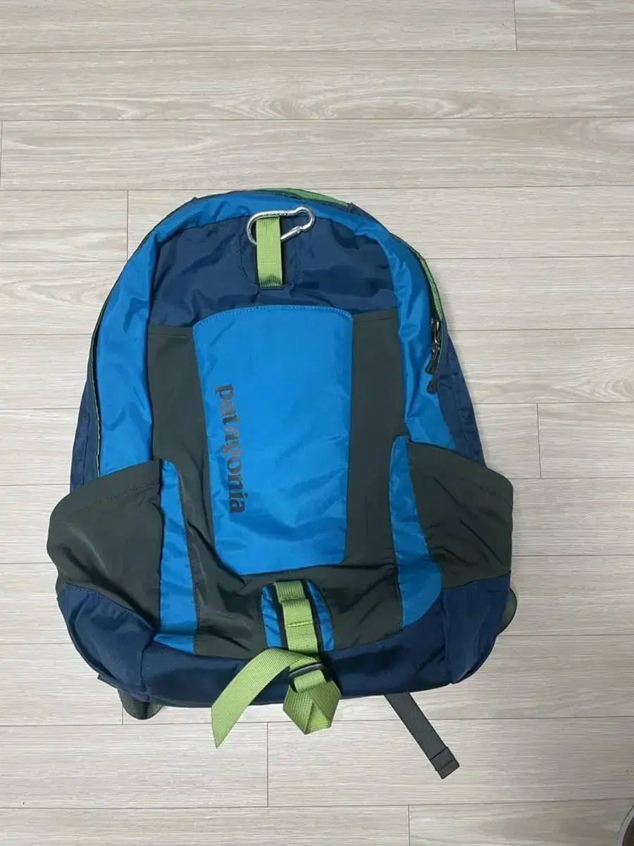 Patagonia Backpack 22L