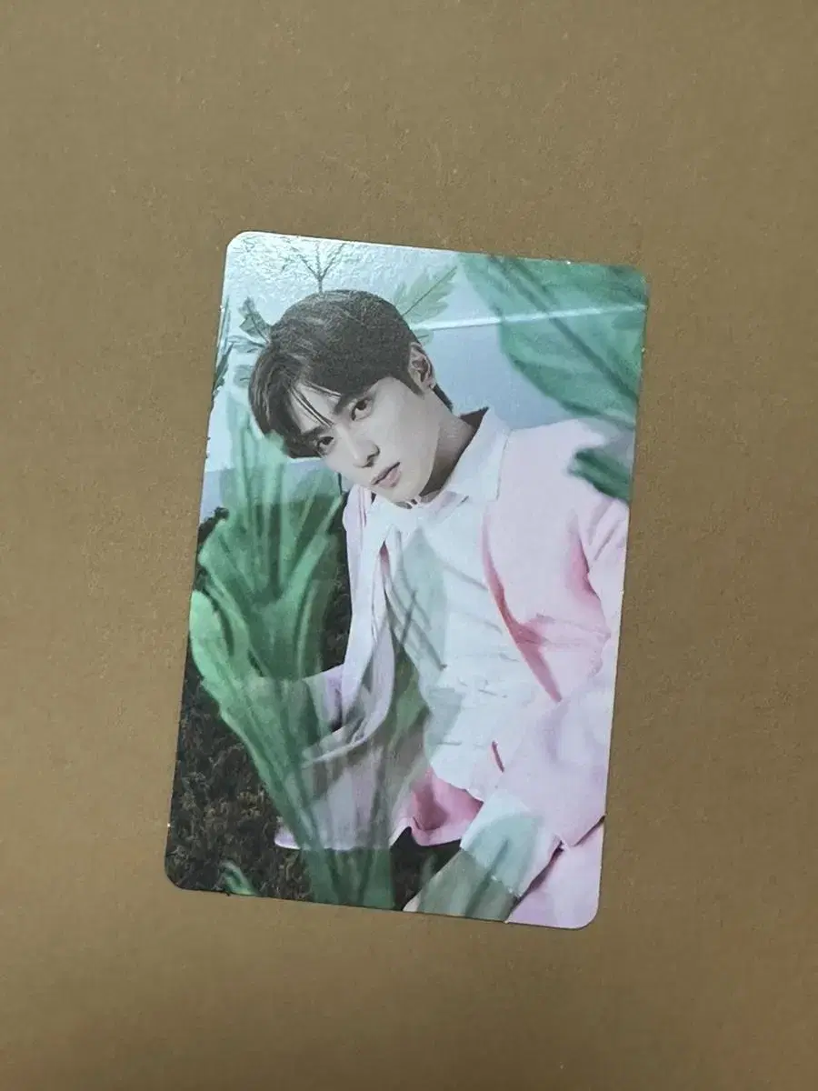 (Price Reduction) NCT127 jaehyun mark NaturePublic Herbology photocard WTS