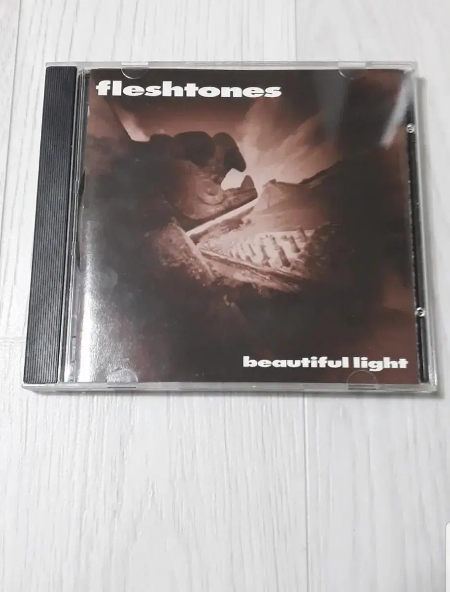 개러지록 Fleshtones 미국 오리지널 씨디 cd