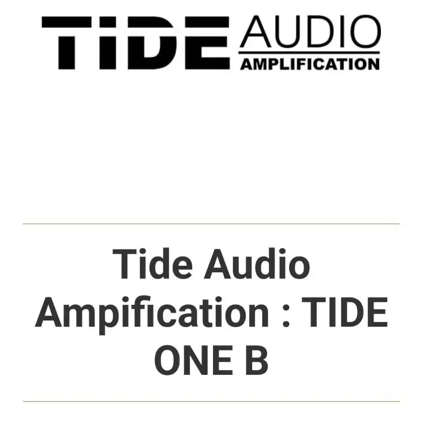 베이스앰프 Tide audio - Tide One B