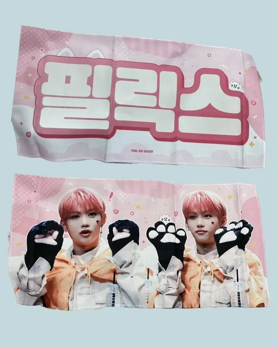 Straykids felix slogan