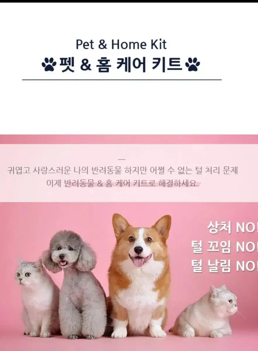 반려동물 털갈이용 빗