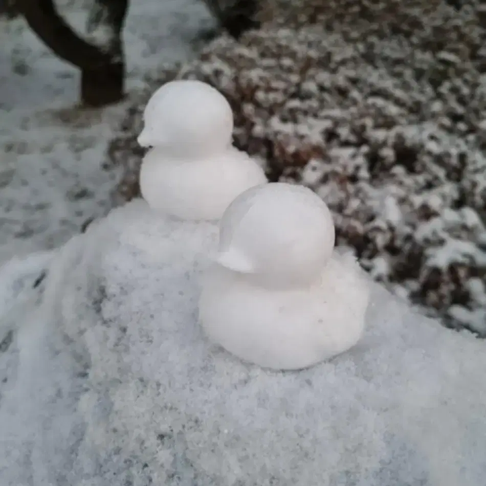 사이즈커요(겨울 눈놀이강추 눈집게들)오리,공룡,기차축구,충성오리집게 판매