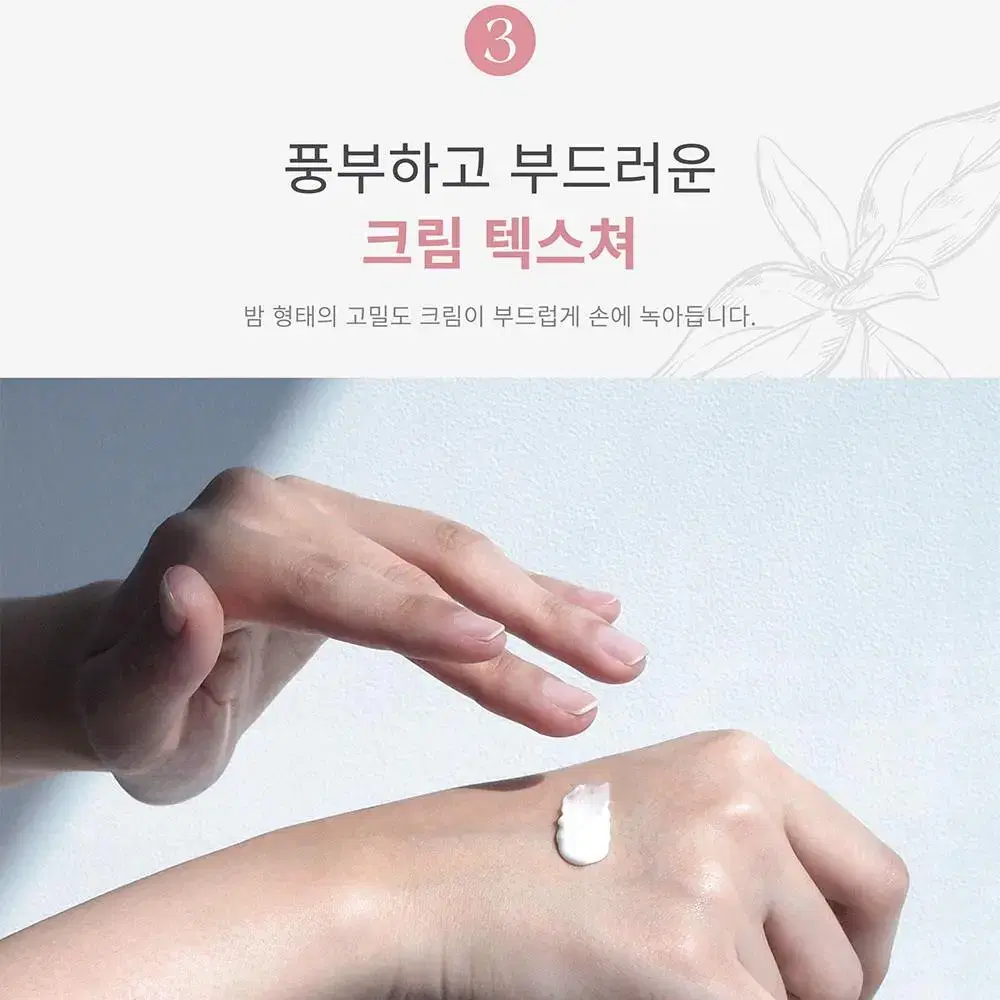 라떼르 제주 아일랜드 비건 핸드 밤 50g 핸드크림 시어버터 동백오일