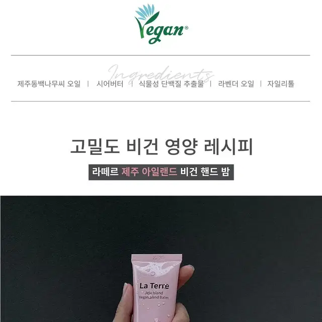 라떼르 제주 아일랜드 비건 핸드 밤 50g 핸드크림 시어버터 동백오일