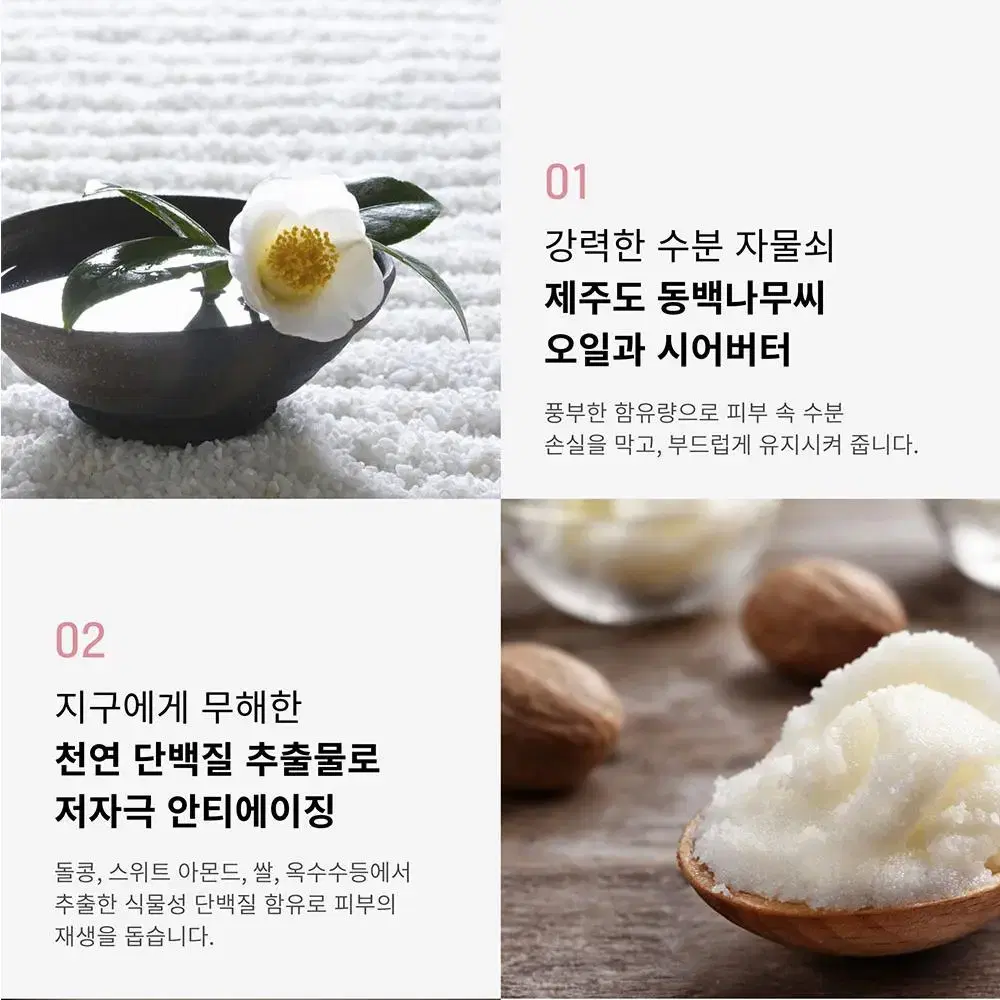 라떼르 제주 아일랜드 비건 핸드 밤 50g 핸드크림 시어버터 동백오일