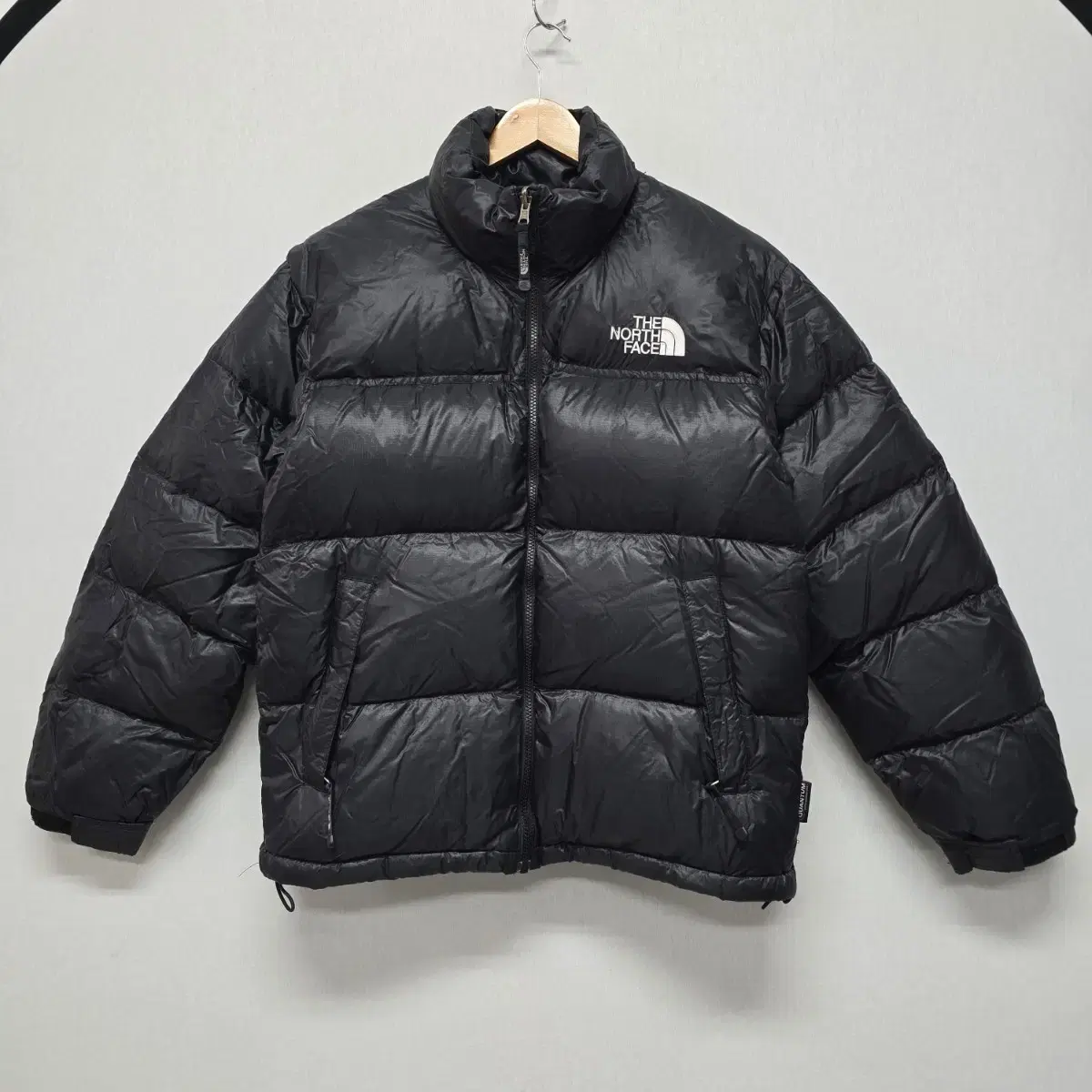 노스페이스 2004FW 아시아 리미티드 에디션 900LTD 눕시 패딩