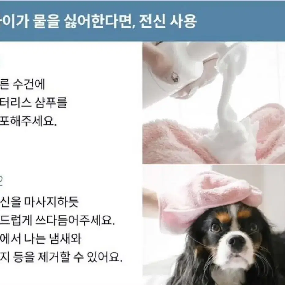 아르르 워터리스 버블클렌저