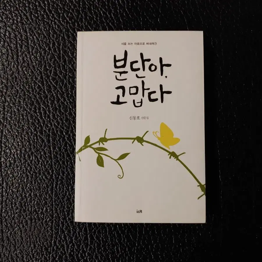 신동호> 분단아, 고맙다