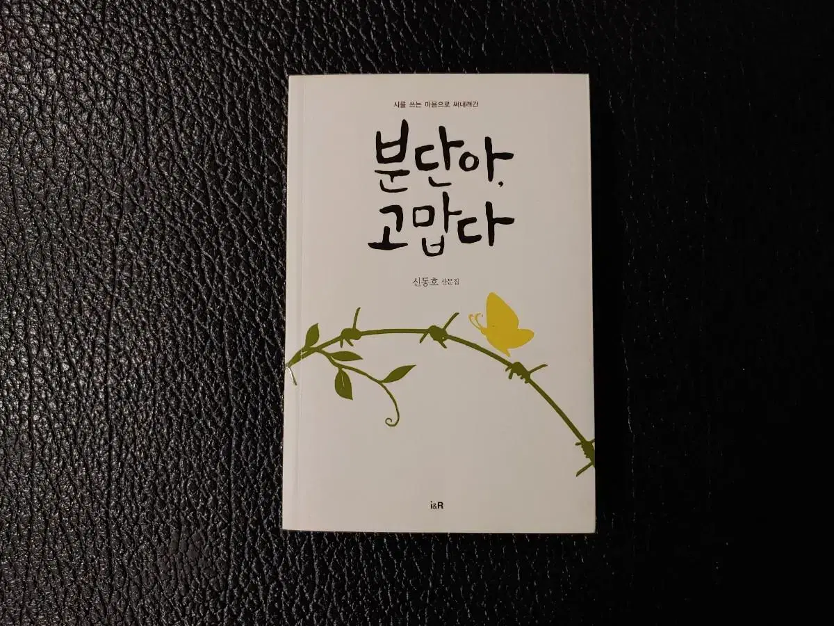 신동호> 분단아, 고맙다