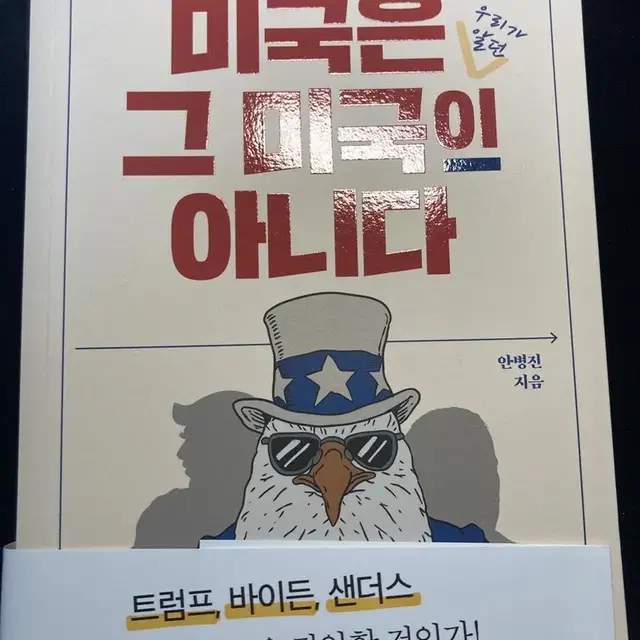 (도서) 미국은 우리가알던 그 미국이 아니다