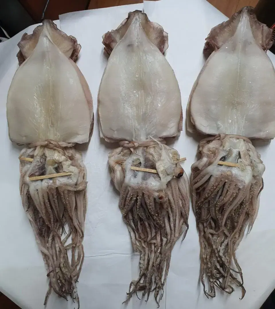 New Product) Donghae Fresh Chewy Thick King Extra Large Vahnjeok-eo-ji (Dried Squid) - (10 pieces)