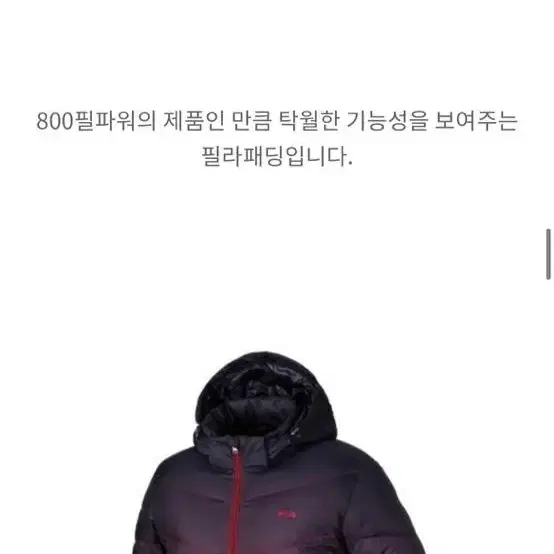 택포 / FILA 휠라패딩 박태환 패딩 구스패딩 800 구스패딩L 100