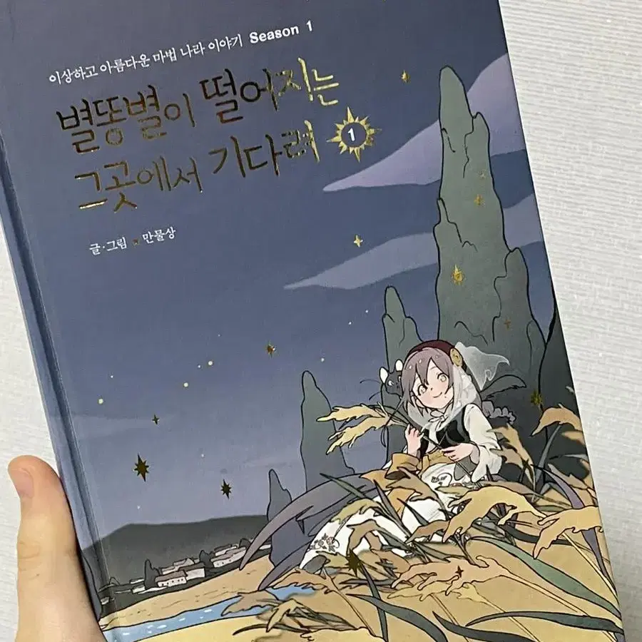 특전포함) 별똥별이 떨어지는 그곳에서 기다려 1,2 단행본