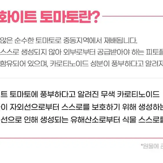 무료배송 콜라겐 화이트토마토 피부건강의 핵심 보령 화이트토마토 글루타치온