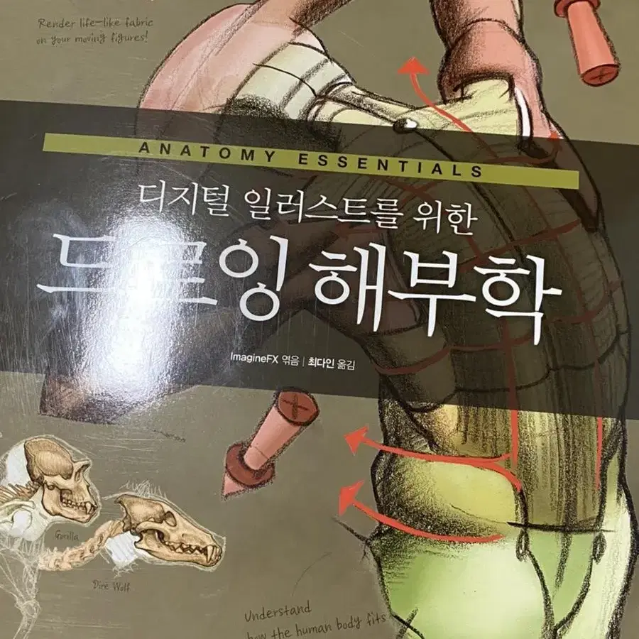 디지털 일러스트를 위학 드로잉 해부학