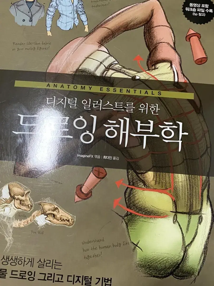 디지털 일러스트를 위학 드로잉 해부학