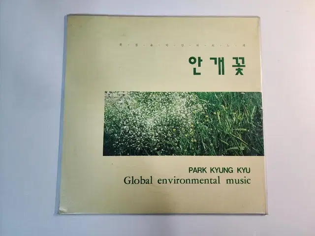 박경규(나윤선) 안개꽃 [미개봉] LP