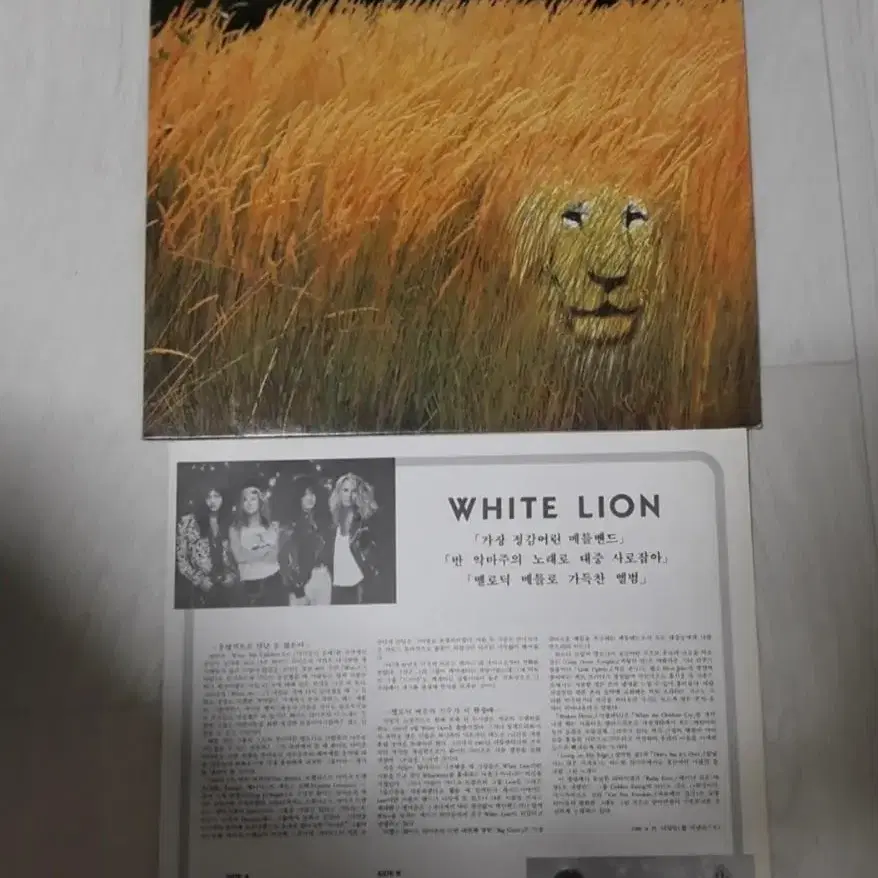 Rock 헤비메탈 White Lion 화이트라이온 엘피 바이닐 lp