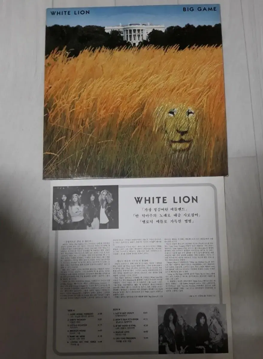 Rock 헤비메탈 White Lion 화이트라이온 엘피 바이닐 lp