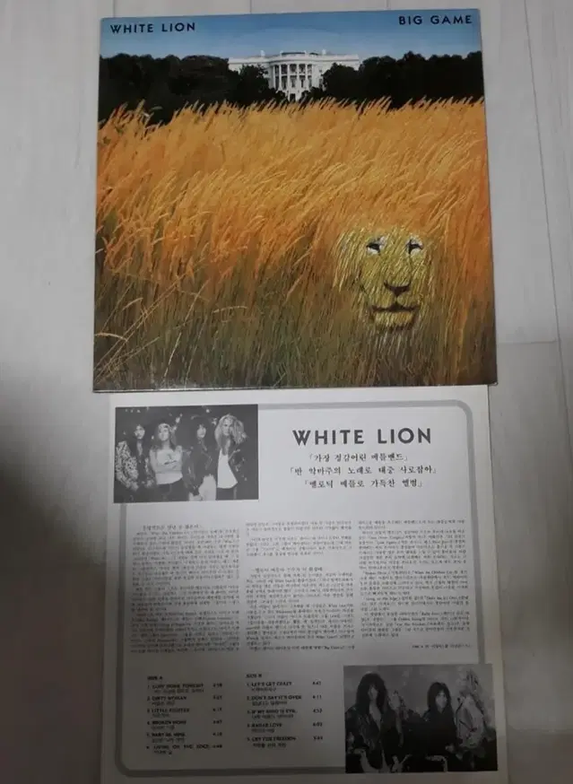 Rock 헤비메탈 White Lion 화이트라이온 엘피 바이닐 lp