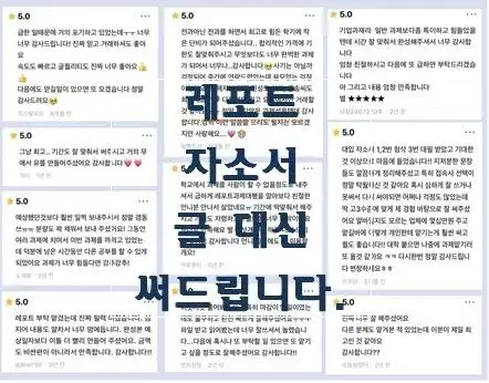 자소서 과제 독후감 레포트