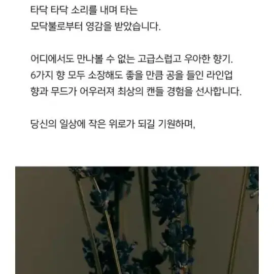 우드심지 소이캔들 향초 불멍