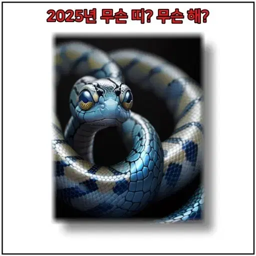 청룡의 해 2024년 갑진년 삼재띠(들삼재,눌삼재,날삼재) 등 관하여..