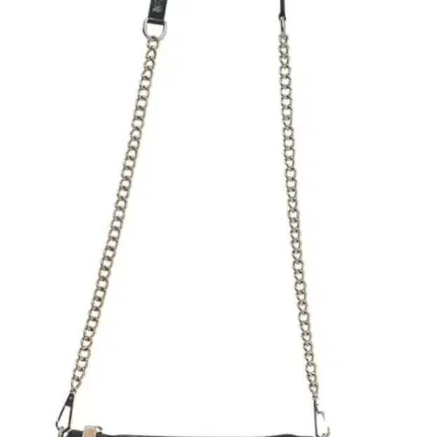 Rebecca Minkoff MagBag(미니백)