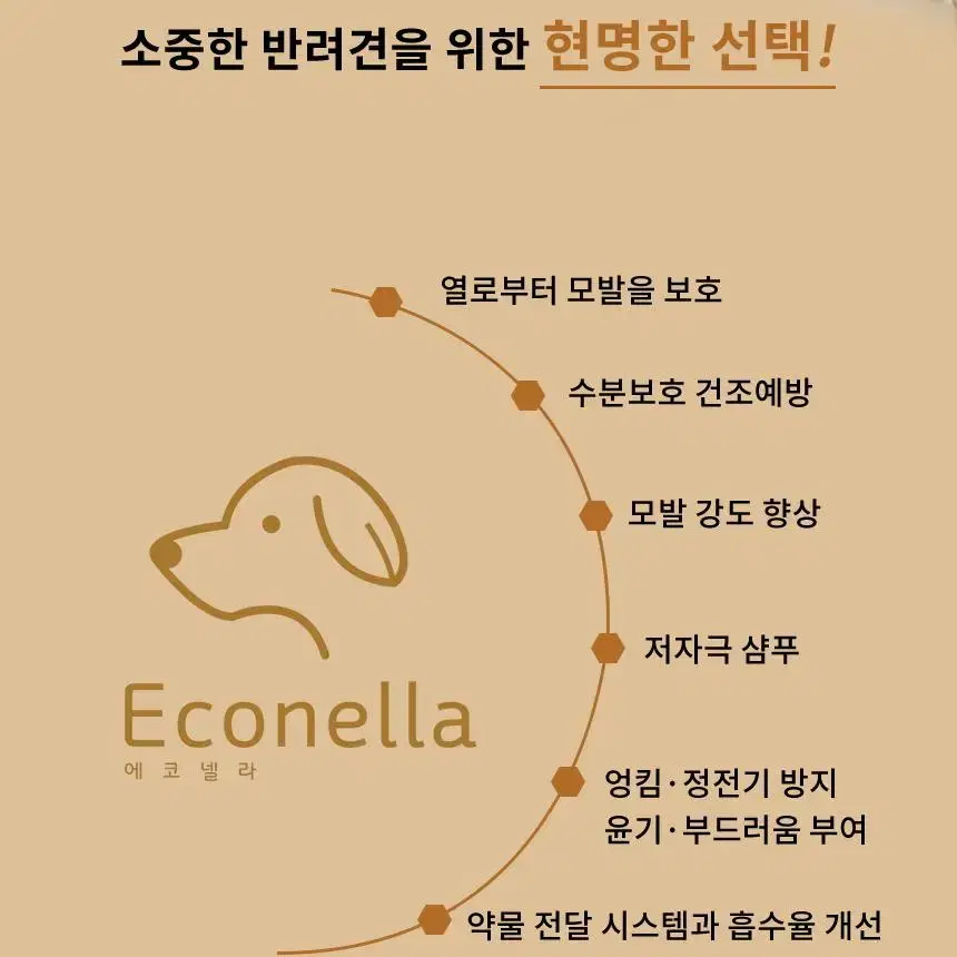 에코넬라 그래핀 펫 샴푸 저자극 애견샴푸 강아지샴푸