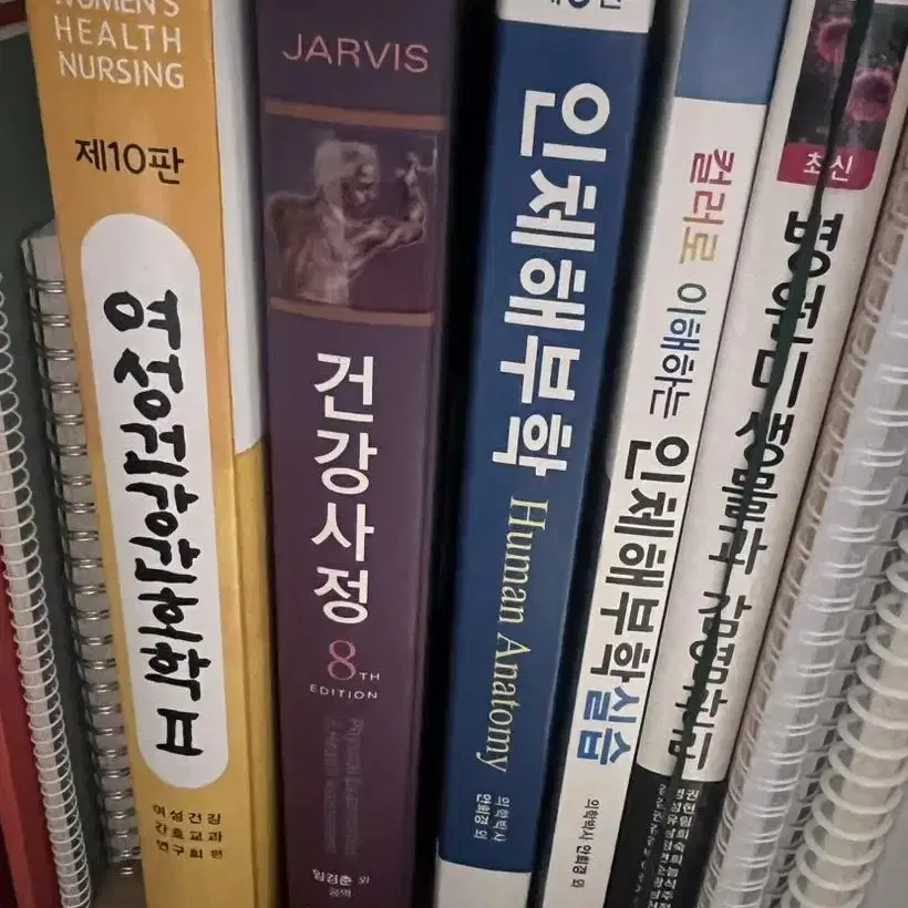 간호학과 책 판매