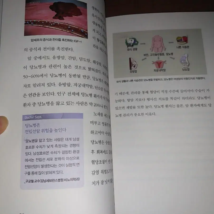 당뇨병을 이긴 사람들의 비밀 도서 책