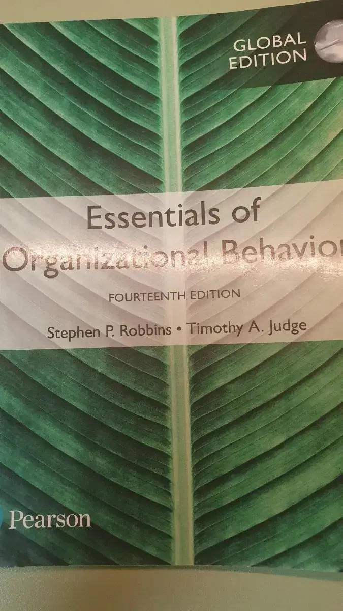 essentials of Organizational Behavior