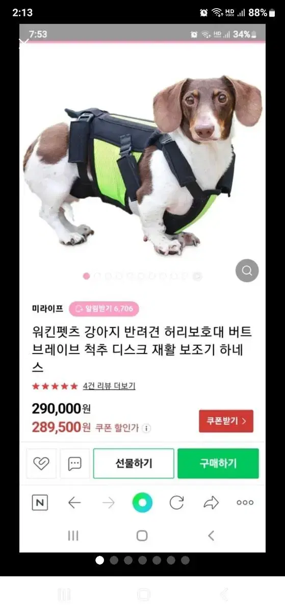 강아지 허리보호대 하네스